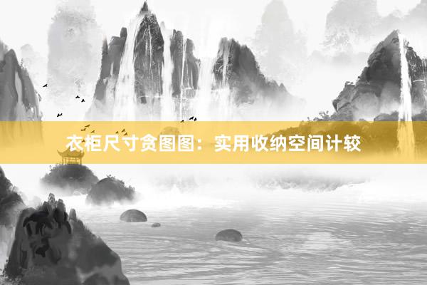 衣柜尺寸贪图图：实用收纳空间计较